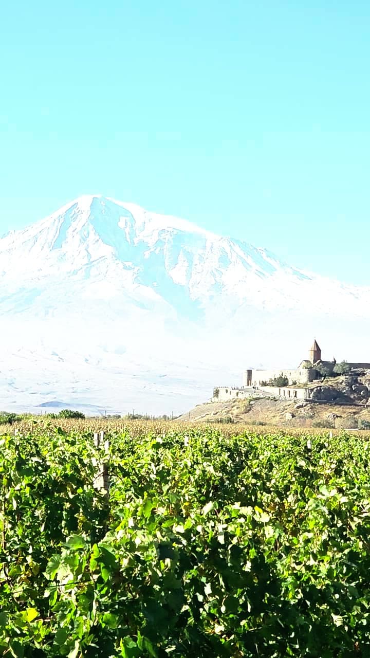 Mount Ararat rising behind the Khor Virap monastery above a vineyard