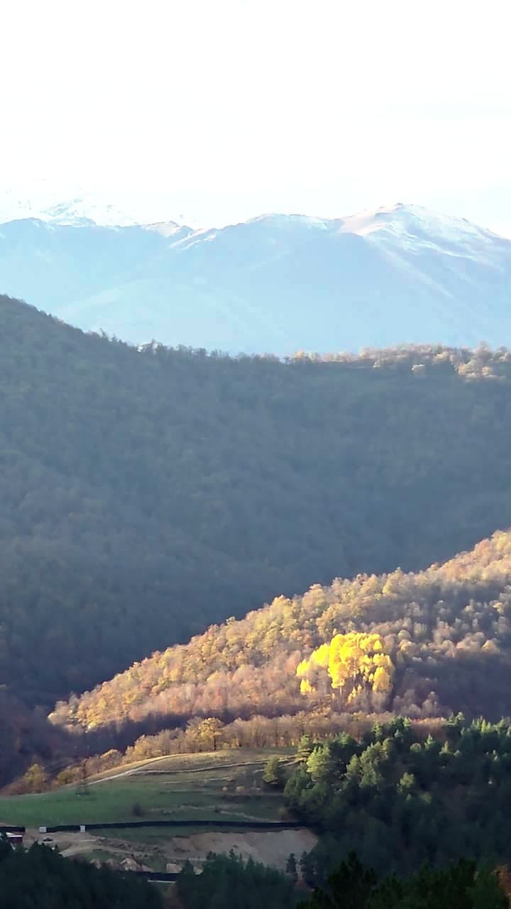 Autumn forest and a golden valley below snow-dusted mountain ridges