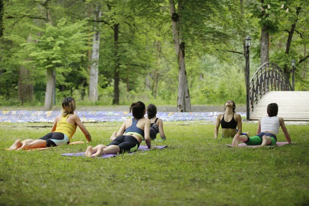 A small group practising yoga on the grass among the park's old trees
