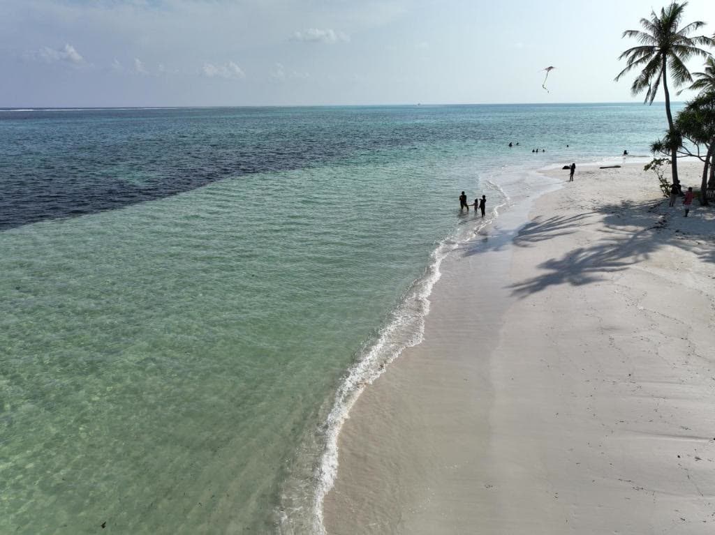 Figures standing in ankle-deep water on a sandbar, palms along the shoreline behind