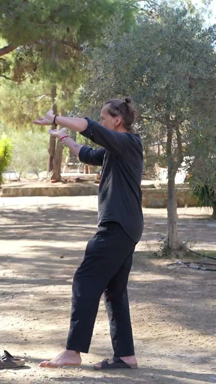 Standing qigong practice outdoors among olive trees