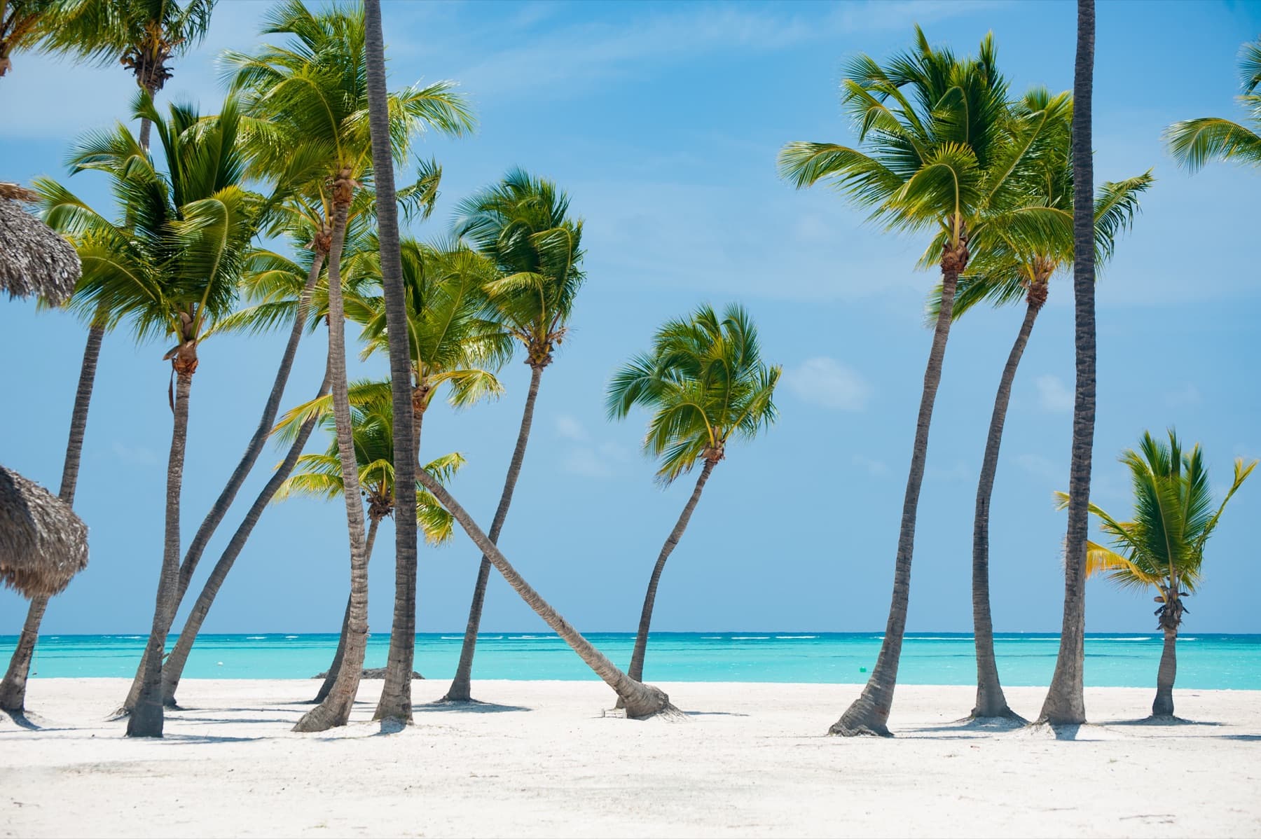 A calm tropical shore and open water